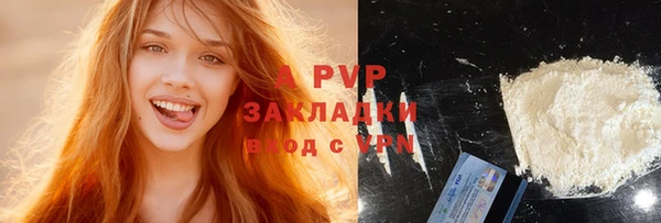 молекула духа Каменка