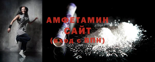 молекула духа Каменка