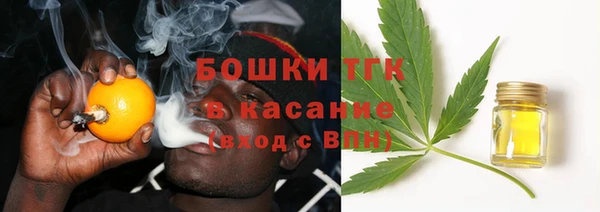 молекула духа Каменка