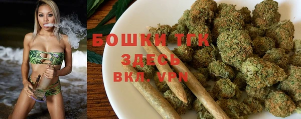 молекула духа Каменка