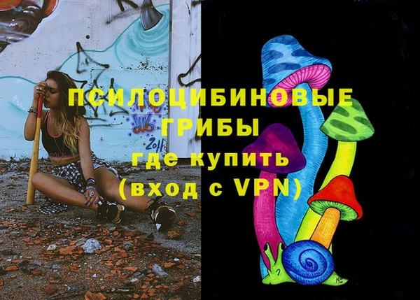 молекула духа Каменка