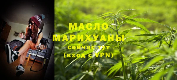 молекула духа Каменка